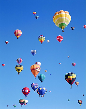 Colourful hot air balloons in blue sky, Albuquerque, New Mexico, United States of America, North America