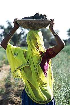 Woman worker building highway, Rajasthan, India, Asia