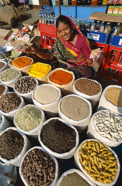 Vendor selling curry powder and spices, Anjuna Market, Goa, India, Asia