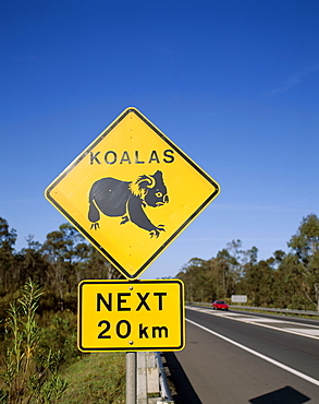 Koala road sign, Queensland, Australia, Pacific