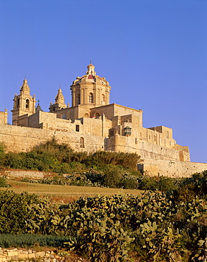 Town skyline, Mdina, Malta, Europe