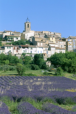 Village and lavender fields, Puimosson, Provence, France, Europe