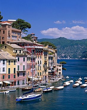 Coastal view, village and harbour, Portofino, Liguria, Italy, Europe