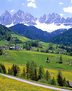 Wild flowers and road with St. Magalena church, Dolomites Mountains (Dolomiti), Villnoss, Val di Funes, Trentino, Italy