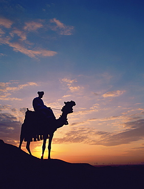 Man on camel at sunrise, Giza, Egypt, North Africa, Africa