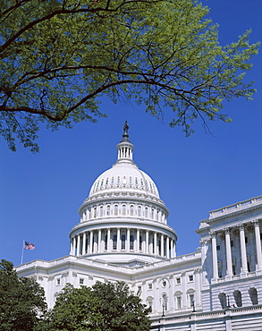 US Capitol Building, Capitol Hill, Washington, DC, United States of America, North America