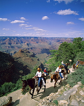 Tourists mule trekking, Grand Canyon, Grand Canyon National Park, UNESCO World Heritage Site, Arizona, United States of America, North America