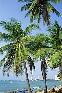 Pattaya Beach, Pattaya, Thailand, Southeast Asia, Asia