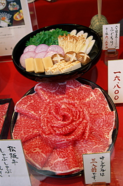 Plastic food display in typical restaurant, Tokyo, Japan, Asia