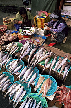 Fresh fish stall, Jagalchi Market, Busan, South Korea, Asia