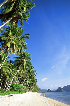 Tropical beach, Bascuit Bay, El Nido, Palawan, Philippines, Southeast Asia, Asia