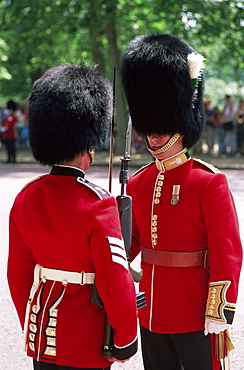 Trooping The Colour, London, England, United Kingdom, Europe