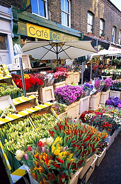 Columbia Road Flower Market, London, England, United Kingdom, Europe