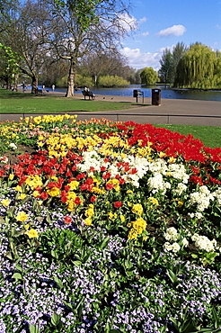 Regents Park, London, England, United Kingdom, Europe