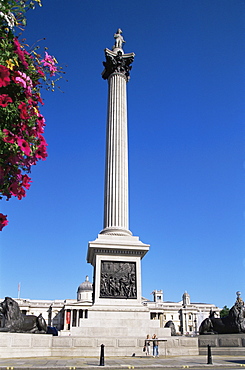 Nelsons Column, Trafalgar Square, London, England, United Kingdom, Europe