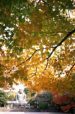 The Great Buddha with autumn leaves, Daibutsu, Kamakura, Japan, Asia