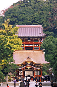 Tsurugaoka Hachiman Shrine, Kamakura, Japan, Asia