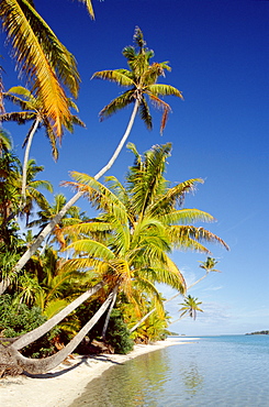 Atoll, palm trees and tropical beach, Aitutaki Island, Cook Islands, Polynesia, South Pacific, Pacific