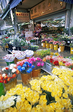 Mong Kok Flower Market, Hong Kong, China, Asia