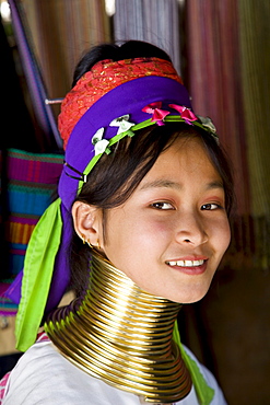 Portrait of Long Neck Karen hill tribe girl, Chiang Rai, Golden Triangle, Thailand, Southeast Asia, Asia