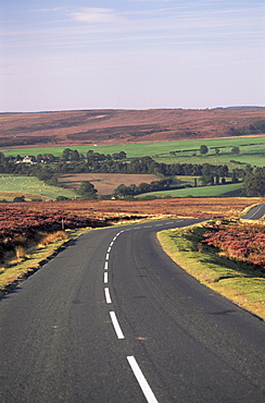 Typical view in the North Yorkshire Moors National Park, Yorkshire, England, United Kingdom, Europe