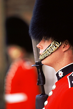 Guard at St. James's Palace, London, England, United Kingdom, Europe