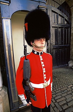 Guard at St. James's Palace, London, England, United Kingdom, Europe