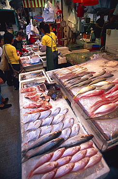 Wet fish market display, Wanchai, Hong Kong, China, Aisa