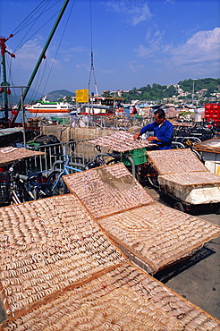 Drying shrimps, Cheung Chau Island, Hong Kong, China, Asia