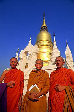 Monks at Wat Suan Dok, Chiang Mai, Thailand, Southeast Asia, Asia