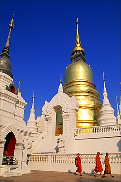 Wat Suan Dok, Chiang Mai, Thailand, Southeast Asia, Asia