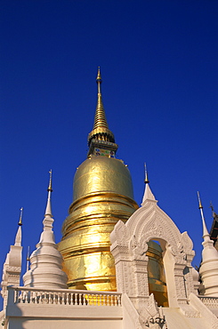 Wat Suan Dok, Chiang Mai, Thailand, Southeast Asia, Asia