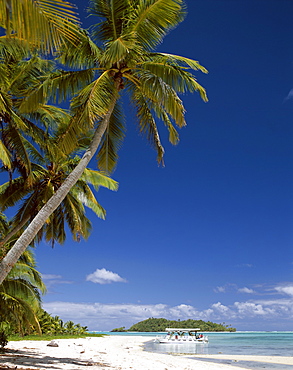 Atoll, palm trees and tropical beach, Aitutaki Island, Cook Islands, Polynesia, South Pacific, Pacific