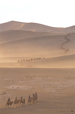 Tourists riding camels at Mount Mingshan, Dunhuang, Gansu Province, China, Asia