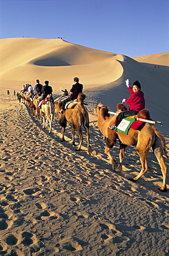 Tourists riding camels at Mount Mingshan, Dunhuang, Gansu Province, China, Asia