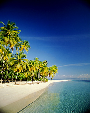 Atoll, palm trees and tropical beach, Maldives, Indian Ocean, Asia