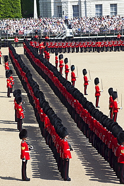 Trooping the Colour Ceremony at Horse Guards Parade, Whitehall, London, England, United Kingdom, Europe