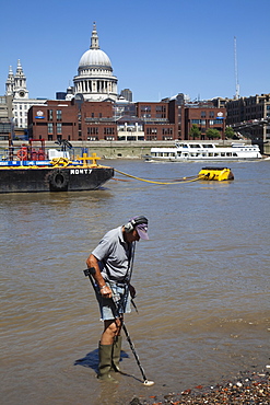 Metal detecting on the bank of the Thames River, Southwark, London, England, United Kingdom, Europe