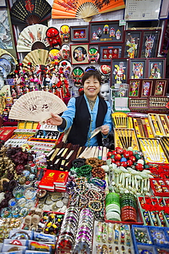 Souvenir shop, The Silk Market, Beijing, China, Asia