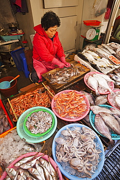 Seafood stall, Gyeongju Market, Gyeongju, South Korea, Asia