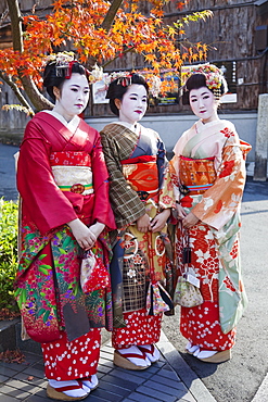 Maiko (apprentice Geisha) dressed in kimonos, Higashiyama, Kyoto, Japan, Asia