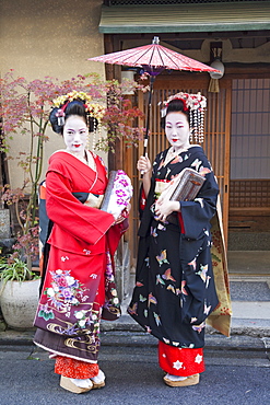 Maikos (apprentice geishas) dressed in kimonos, Gion, Kyoto, Japan, Asia