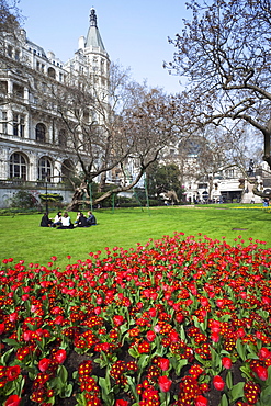 Spring flowers, Victoria Embankment Gardens, London, England, United Kingdom, Europe