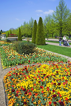 Flower display, Avenue Gardens, Regents Park, London, England, United Kingdom, Europe