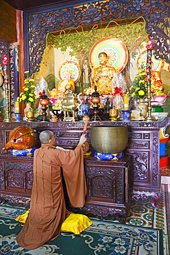 Priest praying, Phap Bao Taoist Temple, Hoi An, Vietnam, Indochina, Southeast Asia, Asia