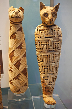 Egyptian animal mummies, British Museum, Bloomsbury, London, England, United Kingdom, Europe