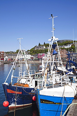 Oban, Argyll, Scotland, United Kingdom, Europe