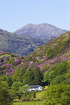 View of Mount Snowdon from Beddgelert, Snowdonia National Park, Gwynedd, Wales, United Kingdom, Europe