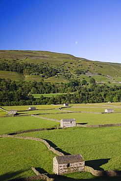 Swaledale, Yorkshire Dales National Park, Yorkshire, England, United Kingdom, Europe