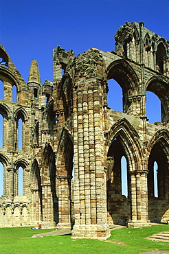 Whitby Abbey, Whitby, North Yorkshire, Yorkshire, England, United Kingdom, Europe